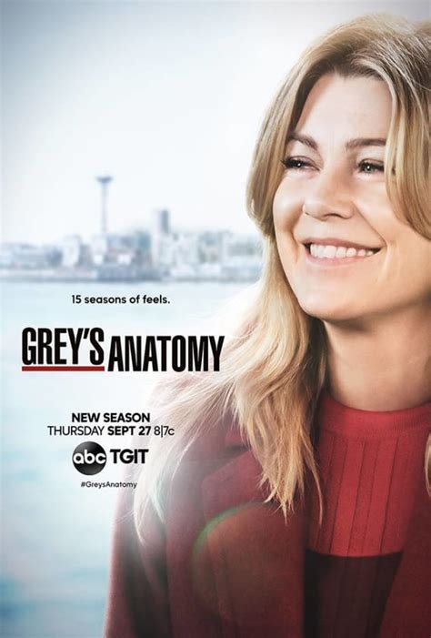 grey's anatomy season 15 fullrip